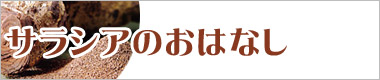 ダイエット茶 サラシアの力の詳細はこちら