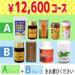 【頒布会】12,600円コース