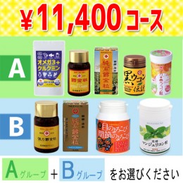 【頒布会】11,400円コース