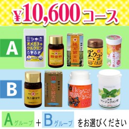 【頒布会】10,600円コース
