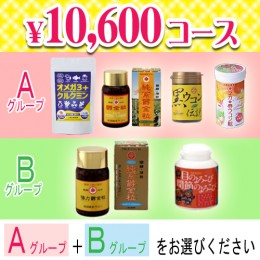 【頒布会】10,600円コース