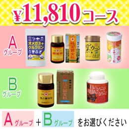 【頒布会】11,810円コース