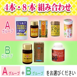 【頒布会】組合わせコース(A+B)
