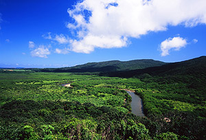 八重山薬草園　沖縄の風景